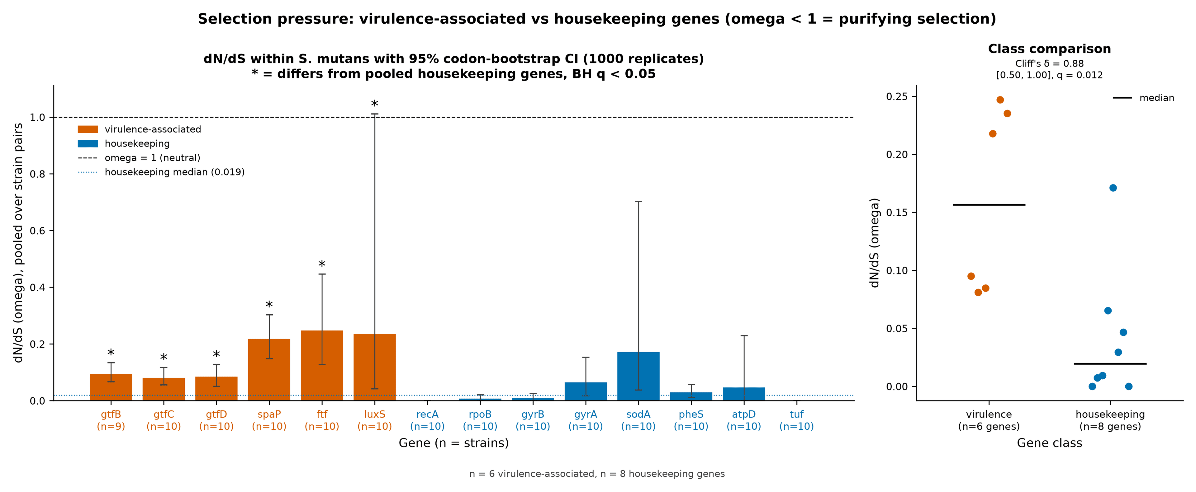 Bar chart of dN/dS per gene within S. mutans with 95% confidence intervals, next to a comparison of the six virulence-associated and eight housekeeping genes.